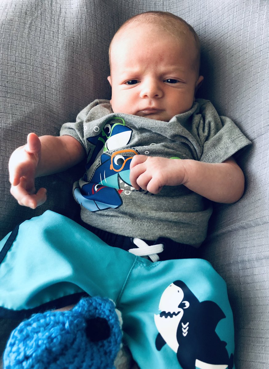 chrisaneary's tweet photo. Our son is ready for his first #SharkWeek @SharkWeek #2weeksold https://t.co/fkzMuegX8q