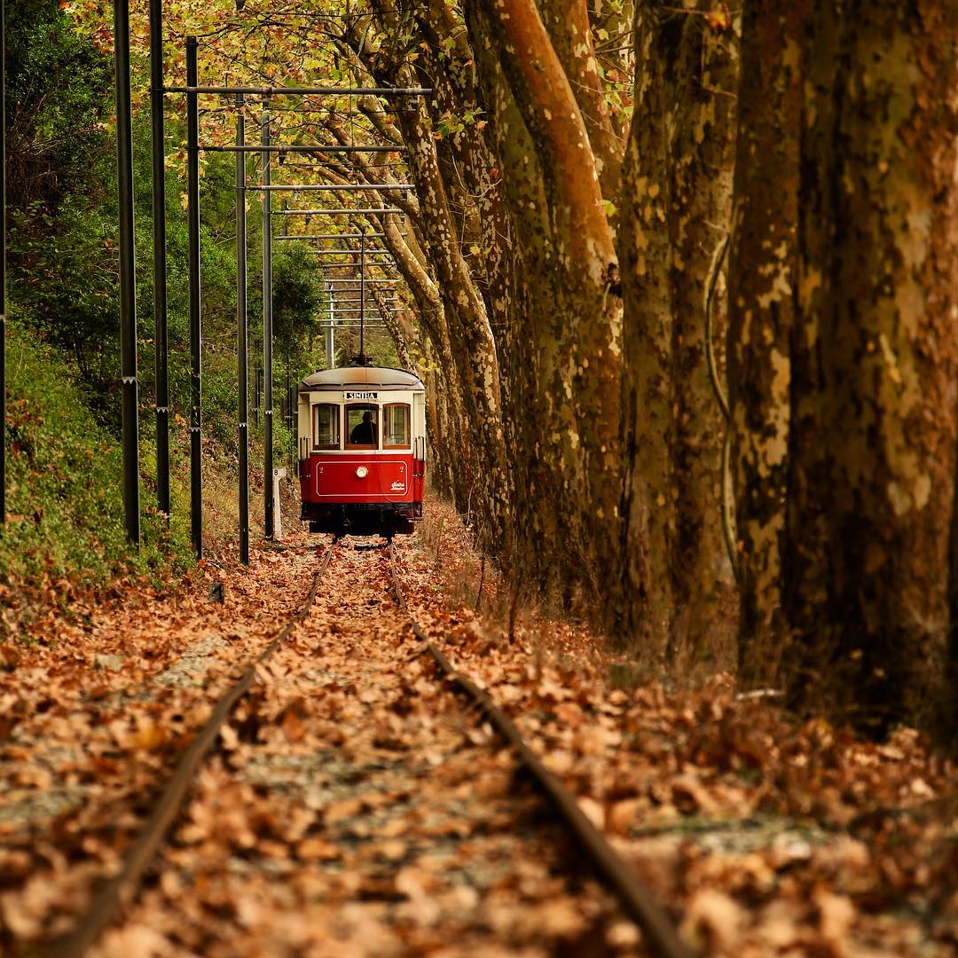 visit_lisboa's tweet image. The Sintra tram is an ode to romanticism and a wink to Lisbon’s past. It links Sintra to Colares, through the mountain, along a calm route ending at Praia das Maçãs. 

#VisitLisboa #Sintra
📷 by ___keepdreaming___