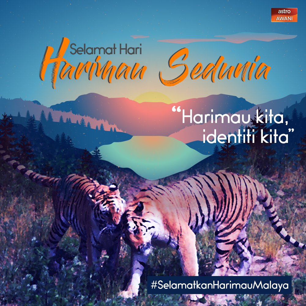 Harimau Malaya kita dikategorikan “Sangat Terancam”. Ayuh, mari kita pupuk kesedaran dan bertindak segera bagi melindungi haiwan yang merupakan simbol dan identiti negara kita!
#SelamatkanHarimauMalaya