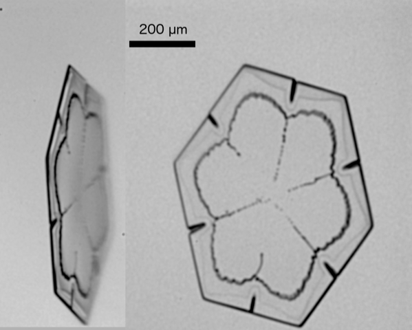 SchnaiTec's tweet image. Fine-scale details on an atmospheric ice crystal revealed by the PHIPS stereo-imaging measured during #CapeEx2019 campaign with the WMI Citation II #phips  #airbornemeasurements #UNDproud @helmholtz_en @KITinnovation @UofNorthDakota @MartinSchnaiter @AirborneUND @H_Havenga