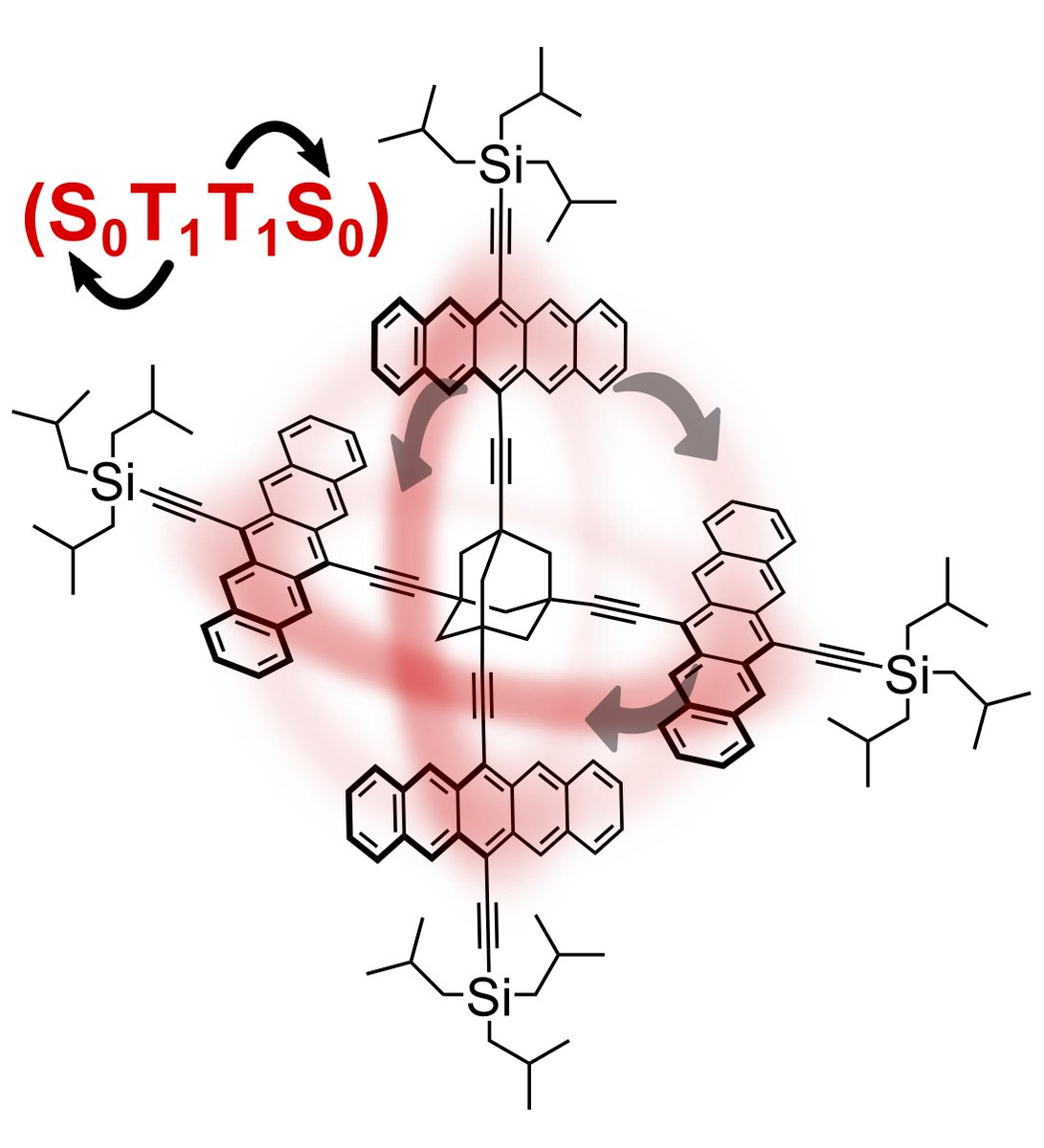 Sebastian's first paper! Congrats Bettina, Consti, and Sebastian! Chromophore multiplication to enable exciton delocalization and triplet diffusion following singlet fission in tetrameric pentacene - Angewandte Chemie International Edition