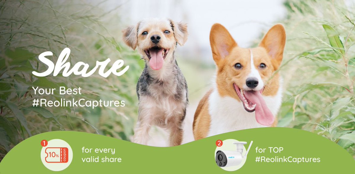 ReolinkTech's tweet image. 📣📣Calling all Reolink users! Here’s your chance to win one of five #ReolinkArgusEco. Submit your #ReolinkCaptures clips for the win👉 buff.ly/2uIHO3j