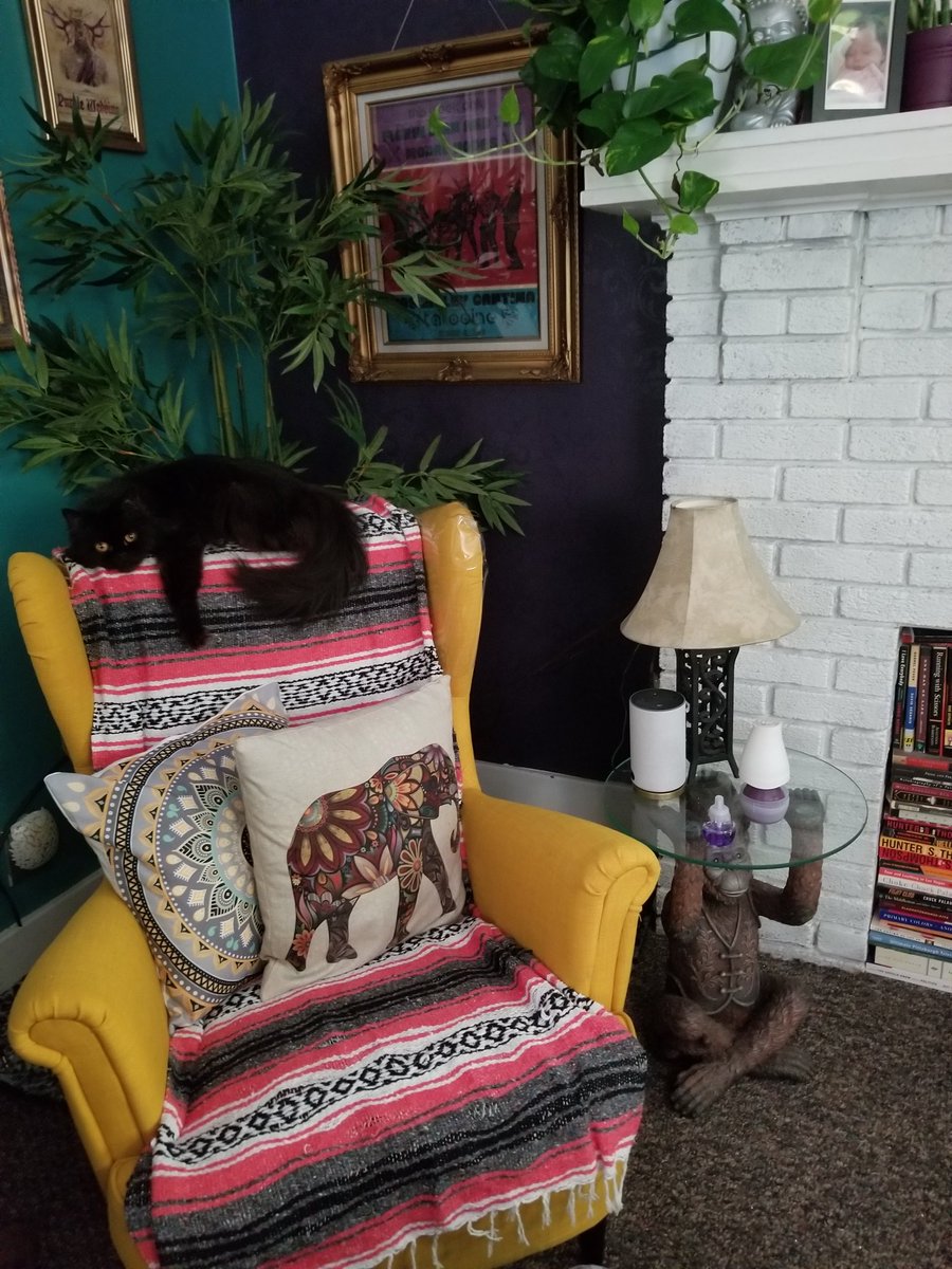 KaraCalavera's tweet photo. Faust hates summer as much as I do. #faustagram https://t.co/NUOjiiZTWe