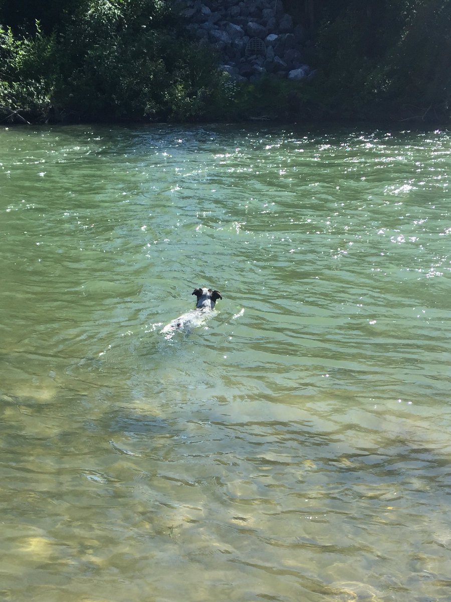 yycjake's tweet photo. Summer at last. https://t.co/XWXuvZUdlk