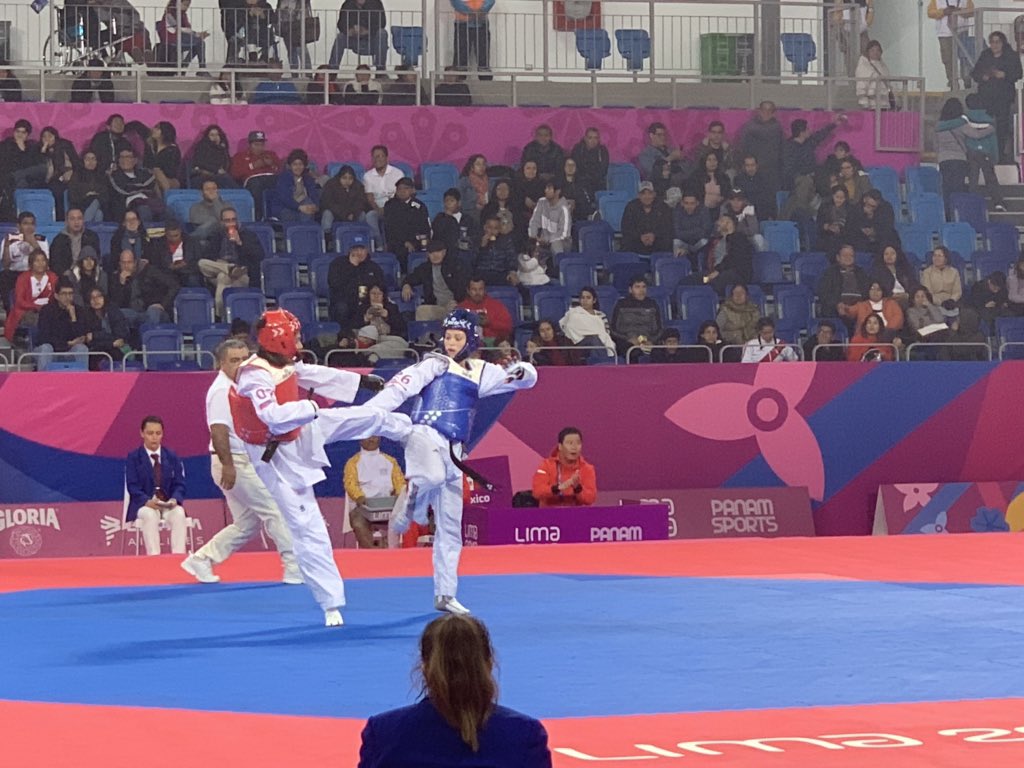 Jocelinflores's tweet photo. TAEKWONDO 🥋🇲🇽🥋

#JuegosPanamericanos2019 

Fabiola Villegas cae 35-15 en Cuartos de Final de 57 kg ante la panameña Carolena Carstens 

@record_mexico https://t.co/WPJw8RhmmS