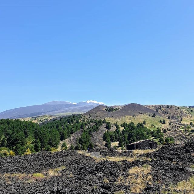 TrailsOfSicily's tweet photo. And into the forest I go... #etna #sicily #explore #experience #walk #hiking #trekking #volcanohike #exploresicily #sicilytour #outdoors #nature #naturelovers #mountains #localguide #naturetrail #trailsofsicily #Sycylia #wulkan #wycieczka #przyroda #przy… https://t.co/A2NVNHzgiJ https://t.co/M2i4x4WqzZ