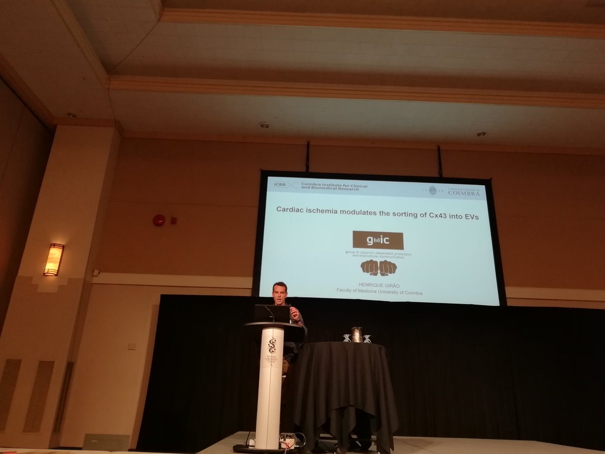 To finish session 2 we are listenning to Henrique Girao with "Cardiac ishemia modulates the sorting of Cx43 into EVs" #IGJC2019