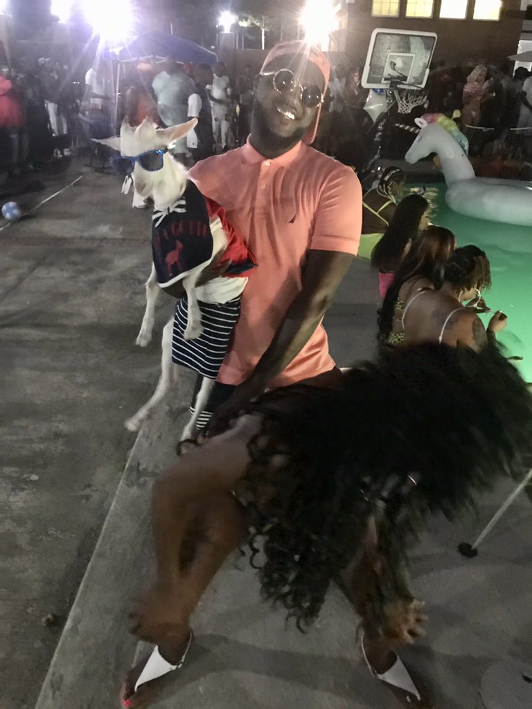gotti_billy's tweet photo. Pool party #goat #billygotti #billydagotti https://t.co/D6mkNYANuf