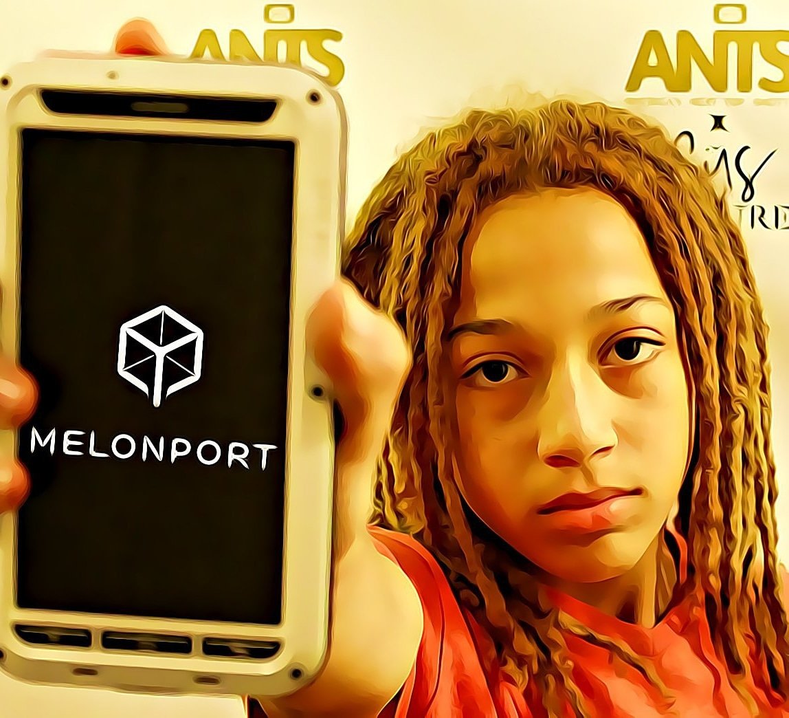 CusCouture's tweet photo. The watermelon protocol is, designed specifically for the purposes of #crypto asset management. Both its frontend as well as its backend are hosted and executed on decentralized platforms & #Ethereum smart contracts. #MLN #melonport #eth https://t.co/2BFpQgEA8E