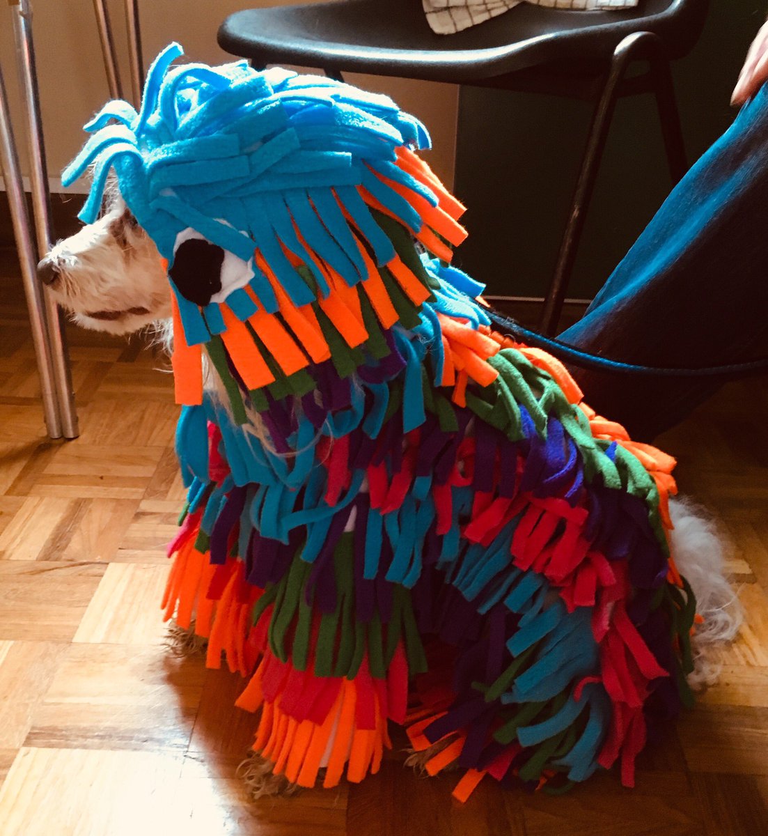 yoshineale's tweet photo. Bradley &amp; Me all dressed up Pinocchio 🤥 and a piñata 🍬🍬 Who looks better??? 🤔🤔 https://t.co/pVpXztc7YT