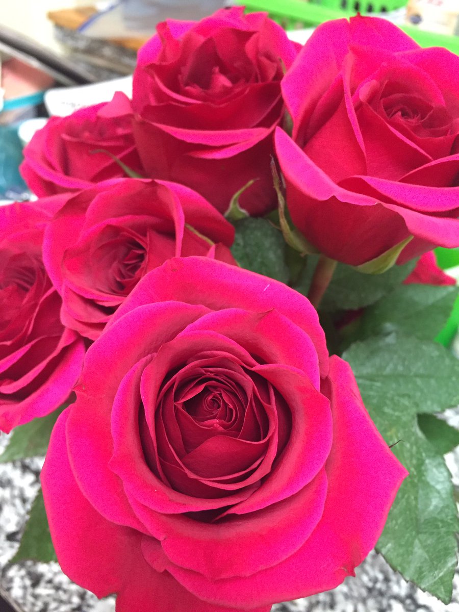 SandyJoJohnston's tweet image. #Sunday is the perfect day to Refuel Your Soul &amp;amp; to be Grateful for Each &amp;amp; Every One of your #Blessings. #SundayChecklist do Nothing &amp;amp; Chill #SundaykindofLove #RedRoses