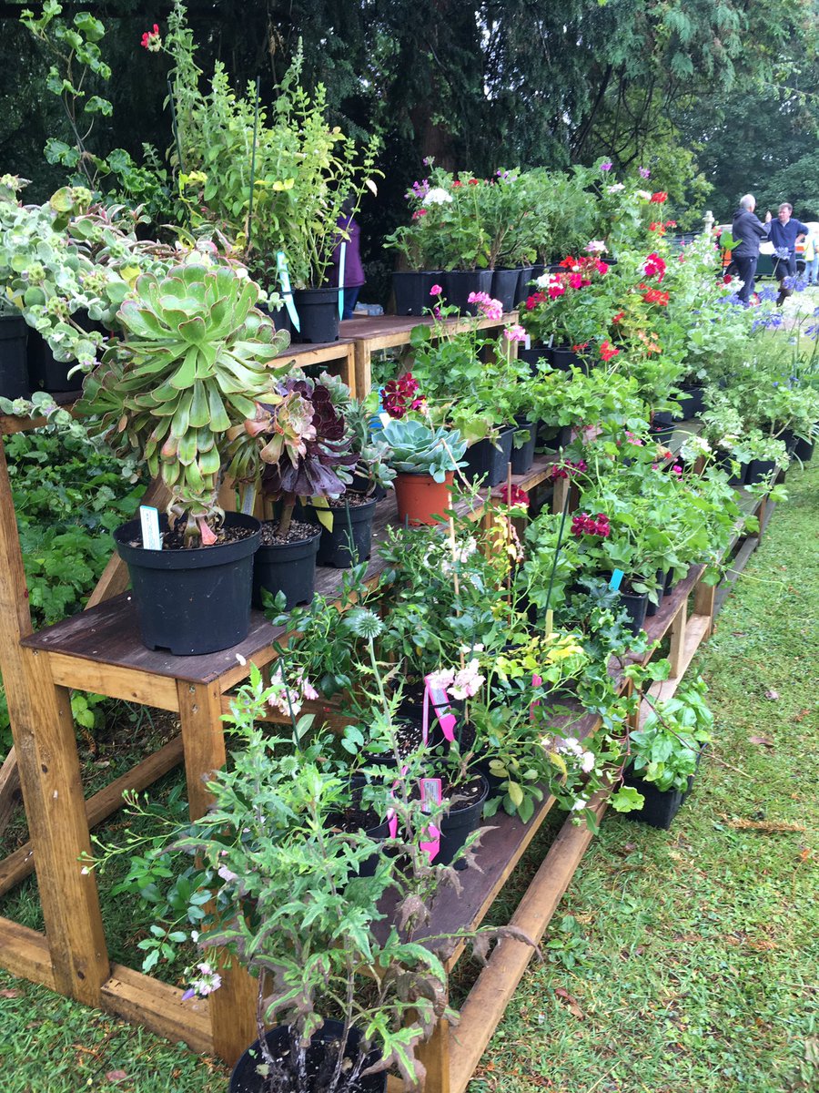 A great day had by all! Thank you to all who visited <a href="/RaveninghamG/">Raveningham Gardens</a> and <a href="/RavGTeaRoom/">Raveningham Tea Room</a> today for the <a href="/CPRENorfolk/">CPRE Norfolk</a> #aestival2019