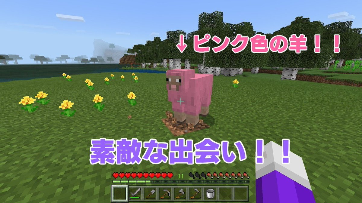 Lady Grey 野生のピンク色の羊は初めて見ました Minecraft マイクラ マインクラフト Nintendoswitch