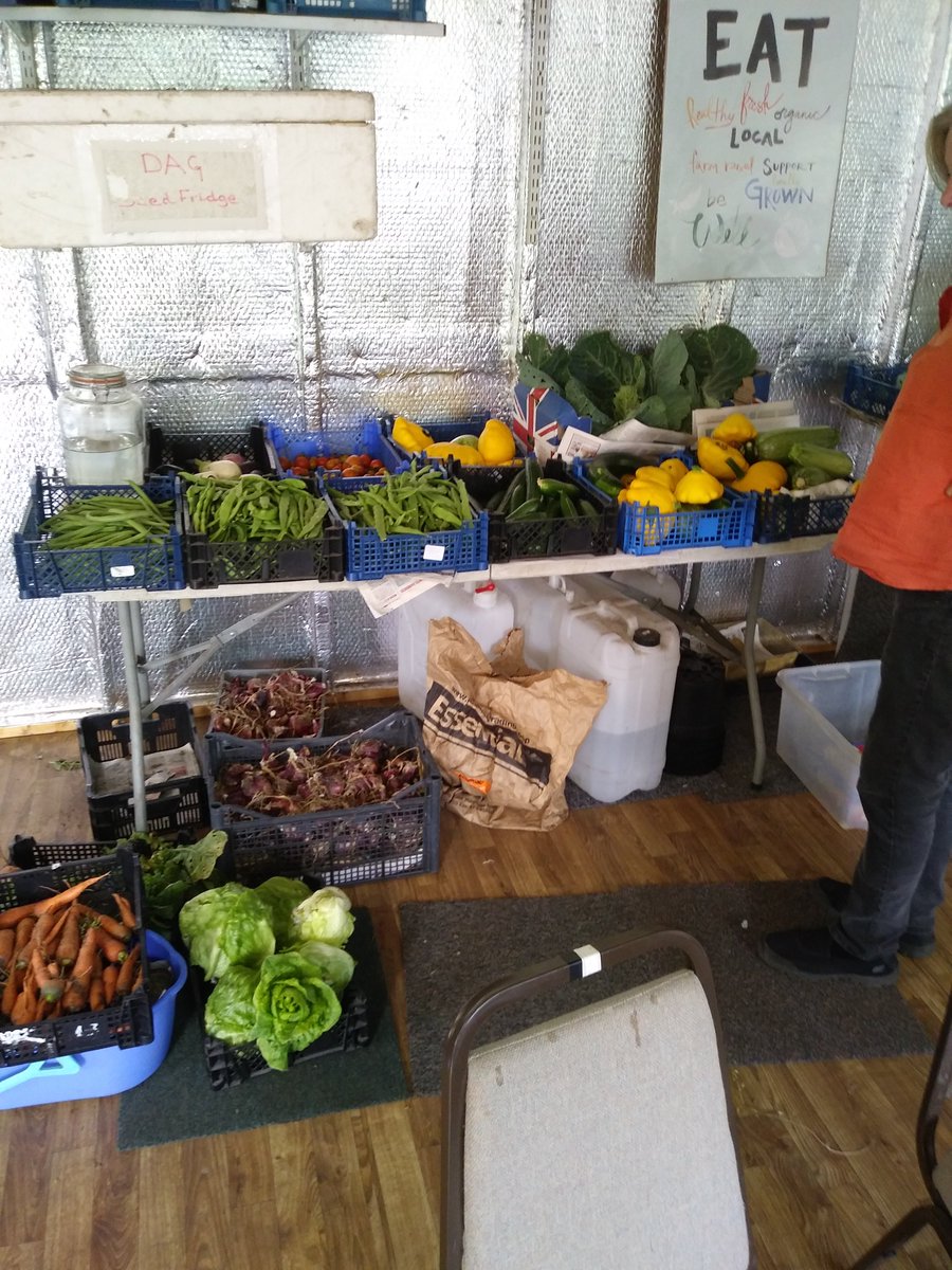 dry_arch's tweet photo. Dry Arch Growers - full of beans...and courgettes...and aubergines...and carrots...potatoes...and onions...and petit pans...and tomatoes...…. https://t.co/lcl2TxFA5j