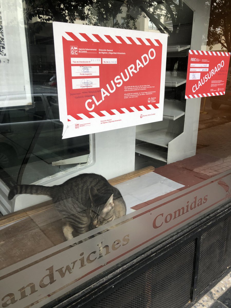 Hola me ayudan a ver qué podemos hacer ? Algún RT? <a href="/elcampito/">El Campito Refugio</a> <a href="/refuasis/">Refugio San Francisco de Asís</a> <a href="/ZaguatesRefugio/">Zaguates Refugio</a>