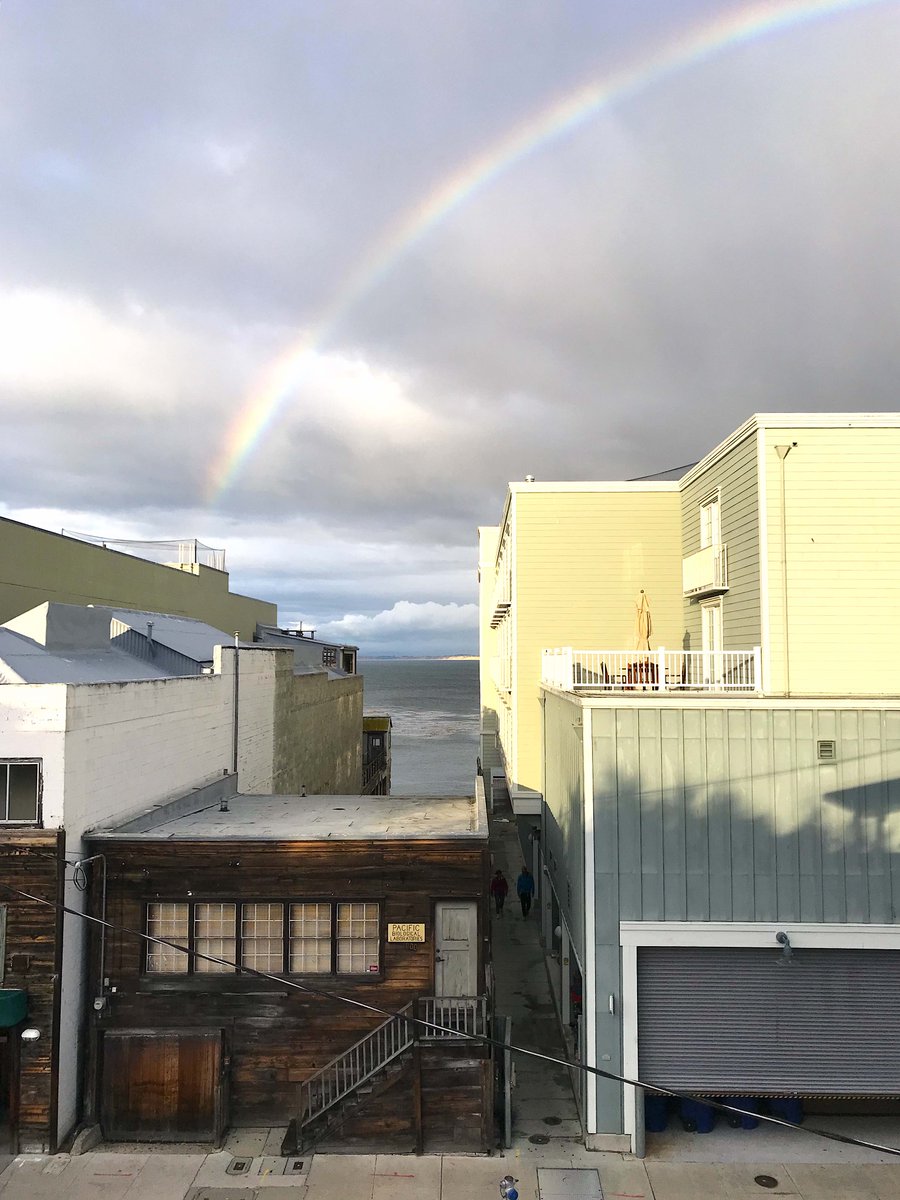CityofMonterey's tweet photo. 13 Cool, Hidden, and Unusual Things to Do in Monterey, California via @atlasobscura, including the #MoonTree, #ColtonHall, Dennis the Menace Park, Ed Ricketts Lab on #CanneryRow and more: https://t.co/2doaBrQ40P @SeeMonterey #BigSur #Apollo50th #BigLittleLies https://t.co/49CIlCRNUJ