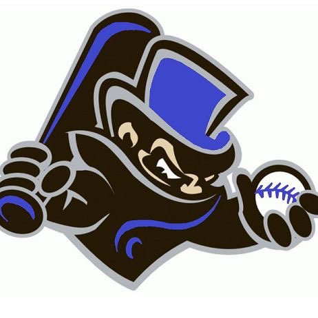 NWI Rippers Baseball tweet media