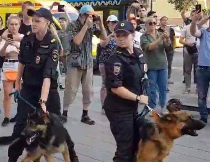 Полиция нидерландов. Разгон демонстрации в нидерландах собаками. "фото global look press". Французская собака полиции. Митинг собака.