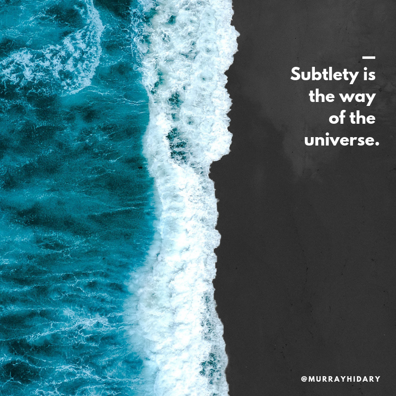 murrayhidary's tweet photo. Are you listening? 🙏
PS. Have you tried our #FloatingMeditation + #UnderwaterConcert Experience? You get to float in the water while you meditate to my real-time compositions. I am so excited to share it with you! Click the #linkinbio to see about upcoming experiences! https://t.co/XDsRA1u3aH