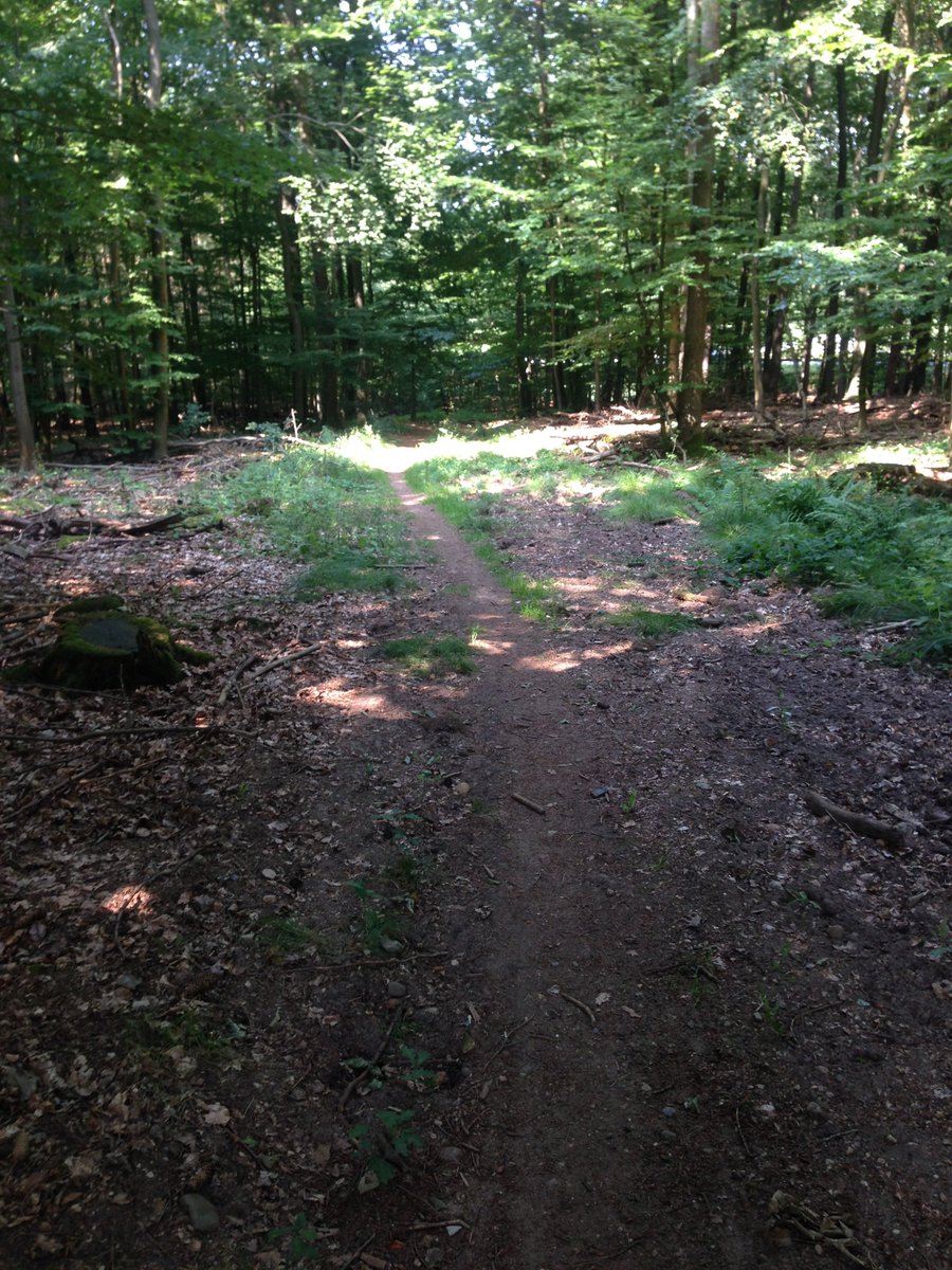 BakhtoshRedclaw's tweet photo. 🏃‍♂️21.2k. Thought I choose the route that have a wood section for some shadow. Didn't expect that it would that humid there😅. #UnitedSnails #NAFlagVisor_Emus #SquadEasy https://t.co/z1CVGxnglg