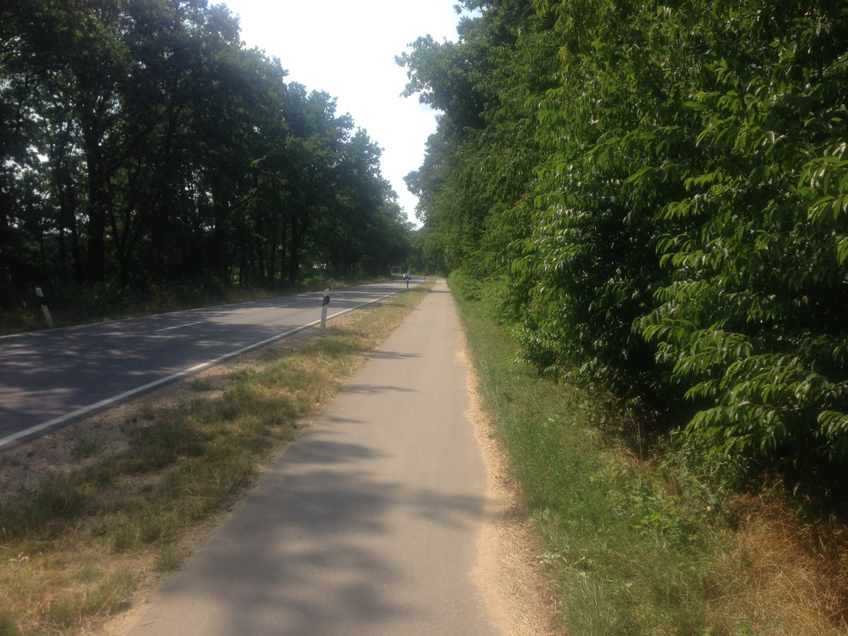 BakhtoshRedclaw's tweet photo. 🏃‍♂️21.2k. Thought I choose the route that have a wood section for some shadow. Didn't expect that it would that humid there😅. #UnitedSnails #NAFlagVisor_Emus #SquadEasy https://t.co/z1CVGxnglg