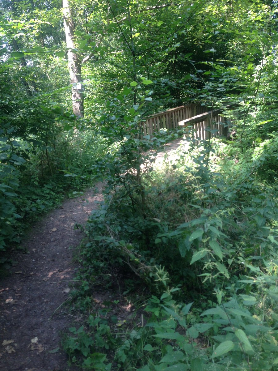 BakhtoshRedclaw's tweet photo. 🏃‍♂️21.2k. Thought I choose the route that have a wood section for some shadow. Didn't expect that it would that humid there😅. #UnitedSnails #NAFlagVisor_Emus #SquadEasy https://t.co/z1CVGxnglg
