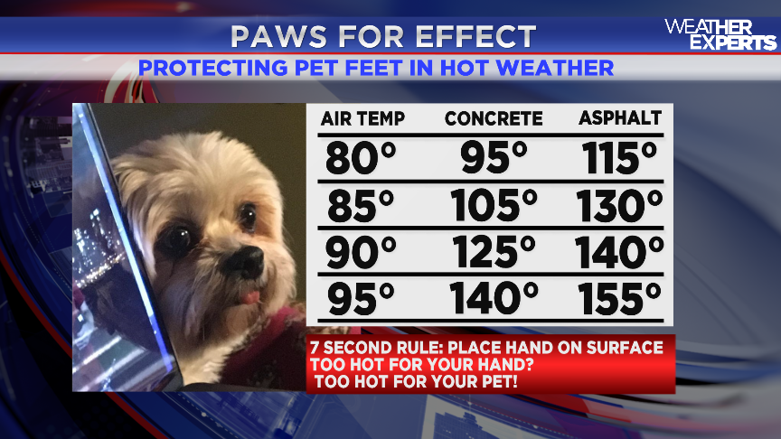 Weather_WREG3's tweet photo. #PetSafety:  Remember your pets' paws while on your walks today. Sunlight can heat up asphalt much hotter than concrete, but pet foot pads aren't up to resisting the heat like your shoes are. Test it first using the #7SecondRule. #WREG @3onyourside https://t.co/d62jfpb3l6