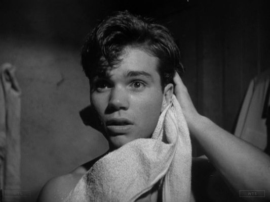 Darryl Hickman turns 88 today, happy birthday! What movie is it? 5 min to answer! 