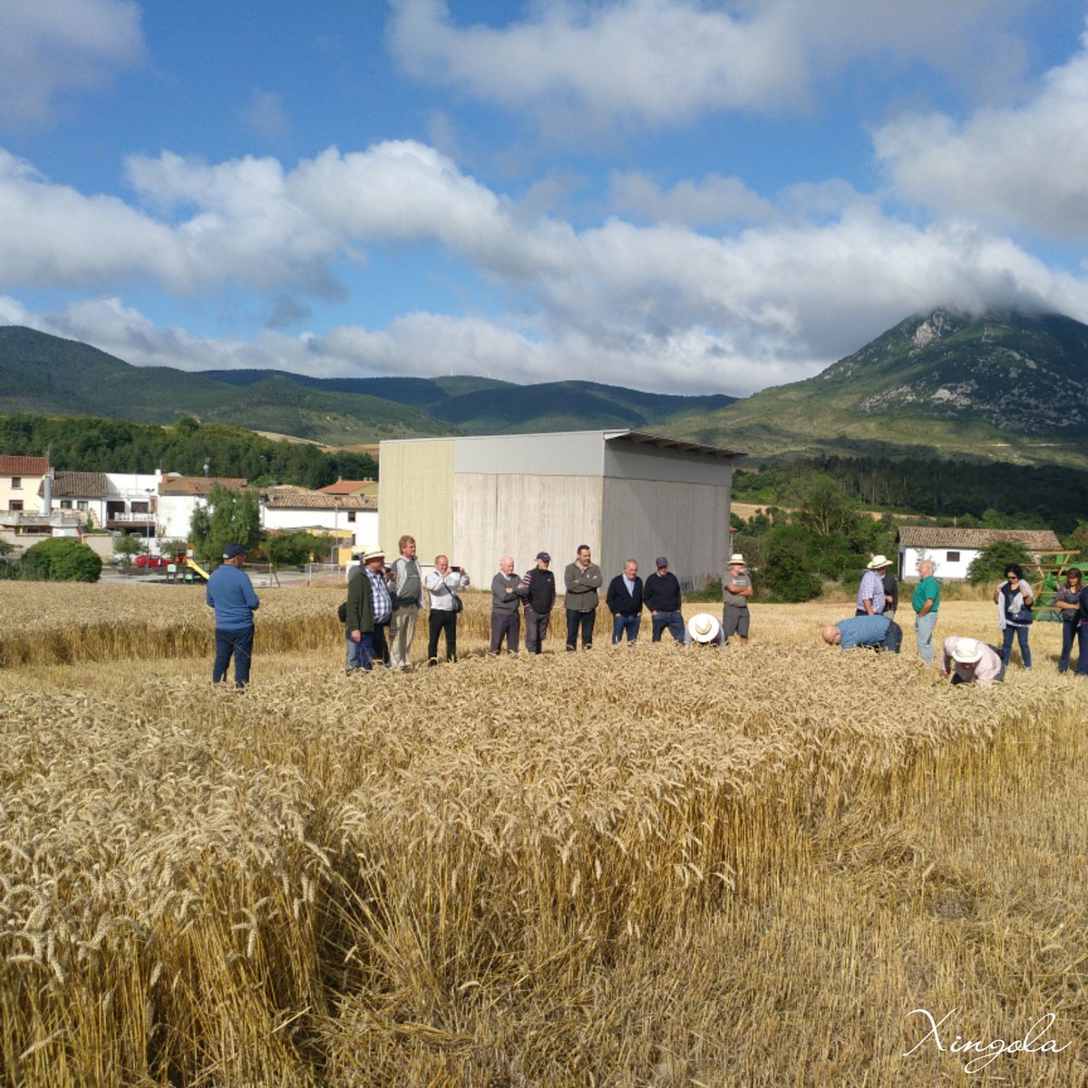 XingolaUsurbil's tweet photo. (1) Getze Ibargoitin XXII. gari-jotzearen eguna...
#getze #ibargoiti #getzeibargoiti #garia #garijotzea #nafarroa #euskalherria #basquecountry #ondarea #nekazaritza https://t.co/bKNoocp2F1