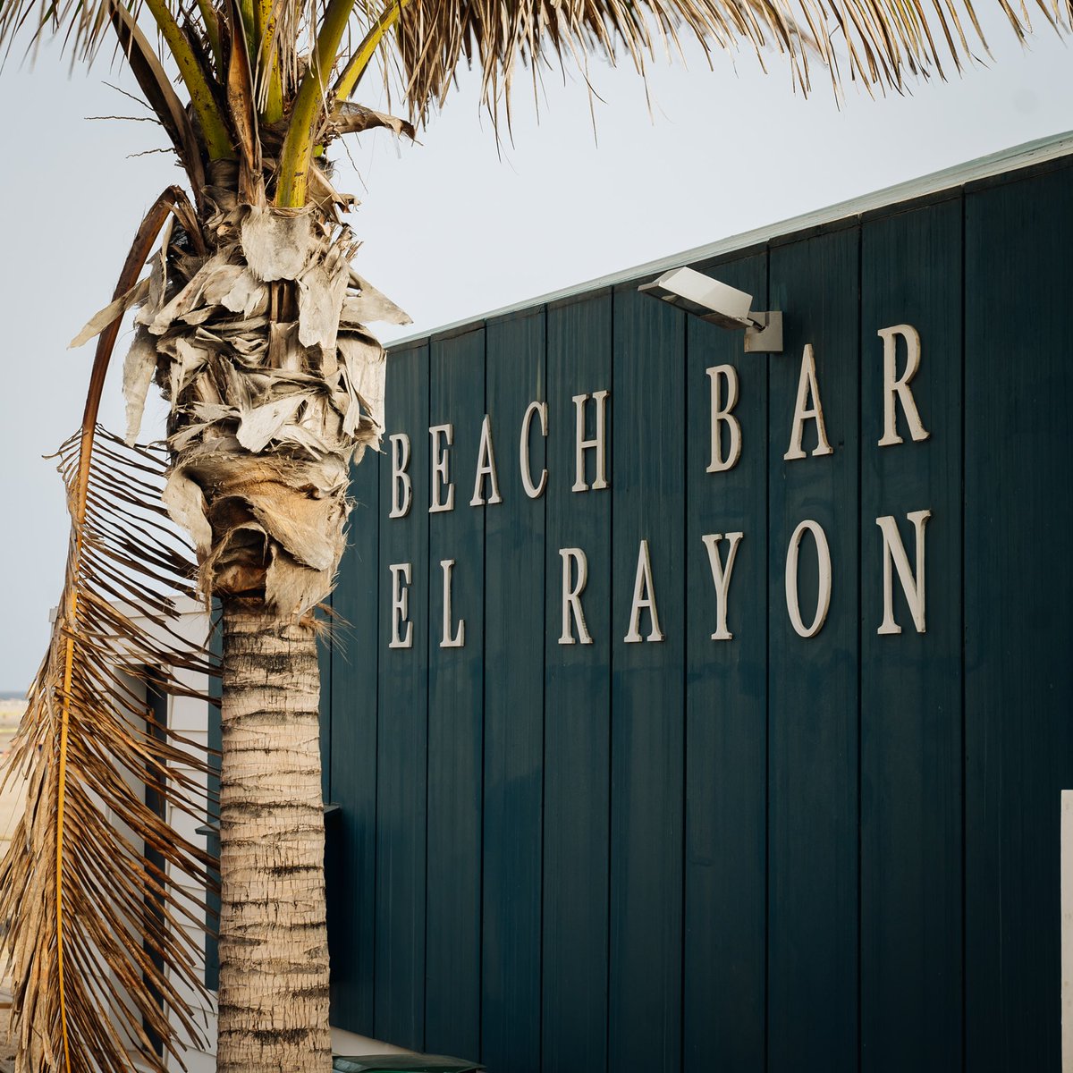 Octavian Rosca tweet media