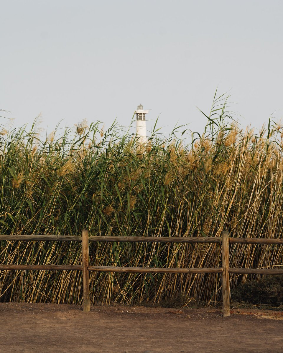 Octavian Rosca tweet media