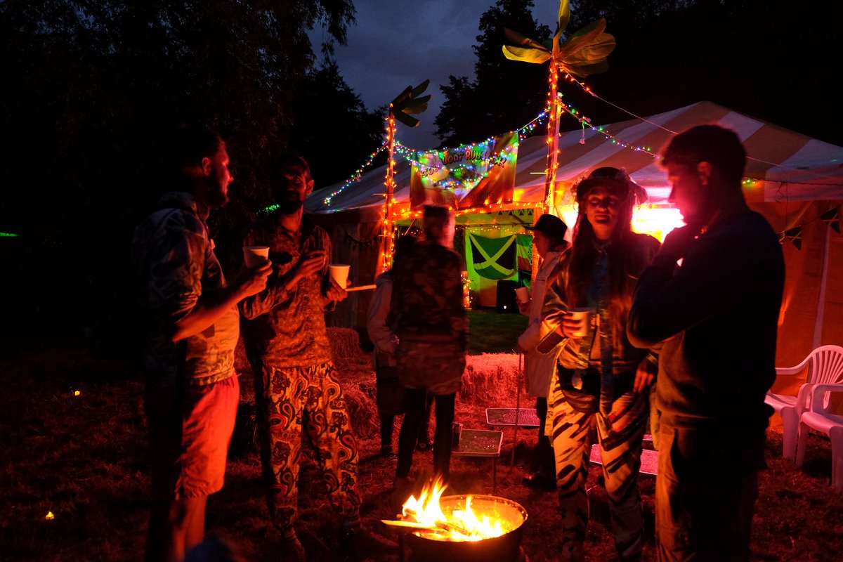Tribe of Doris tweet media
