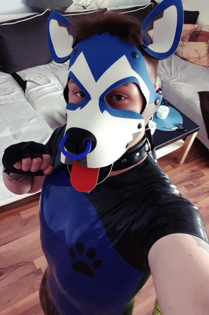 wolfsnowace's tweet photo. My new rubber suit 🐾💙🐶🖤🐶💙🐾

I love it 💙🖤💙

#rubberpuppy #rubberboy #rubbergay
#rubberfetish #rubbergear #latexpuppy
#latexboy #bottompuppy https://t.co/XaQ6kEC2mB