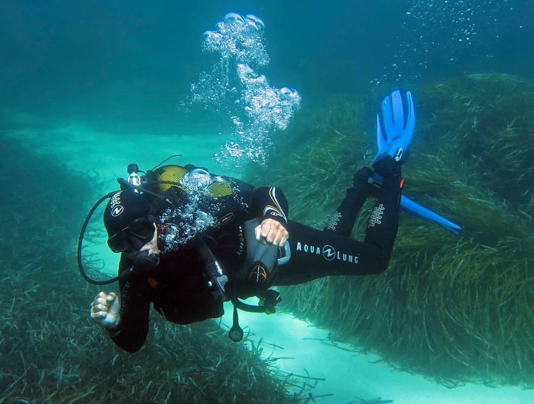 Blue_Adventure's tweet photo. Inmersión con niños esta mañana.🌴🤙🏻🌊
#tryscuba #divessi #iamssi #tauchgang #plongéesousmarine #baptemes #buceo #formentera #baleares #spain #ssi_international #diving #kids #plongéeenfant @Blue_Adventure
Reservar en https://t.co/7CXC2YGdSI o llamando al +34 971321168 https://t.co/eTtzZNlNjn