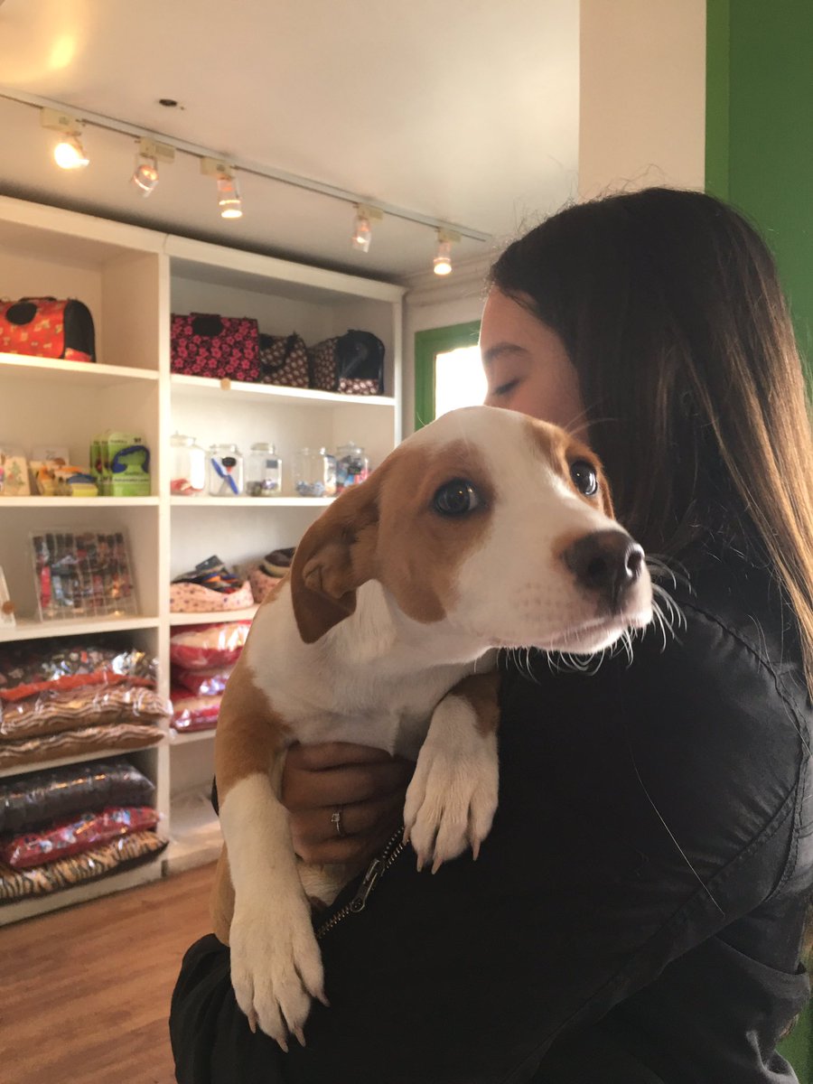 DRPREYES's tweet photo. Hoy se realizó una nueva jornada de esterilización+Chip en nuestra clínica @VetCeba como parte del exitoso programa de Tenencia Responsable de @Muni_provi 
Más de 45 pacientes operados exitosamente @evelynmatthei @MascotaGob @fundCeba @botaspuesta @AnimalParaiso 
💪🏼🐈🐕 https://t.co/Us0q5h0rcb