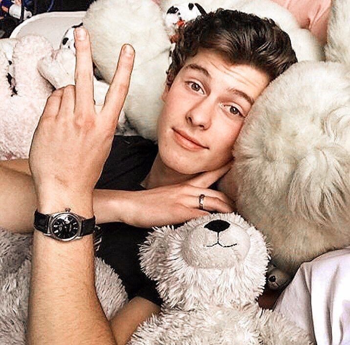 —-;  
    
               🐻