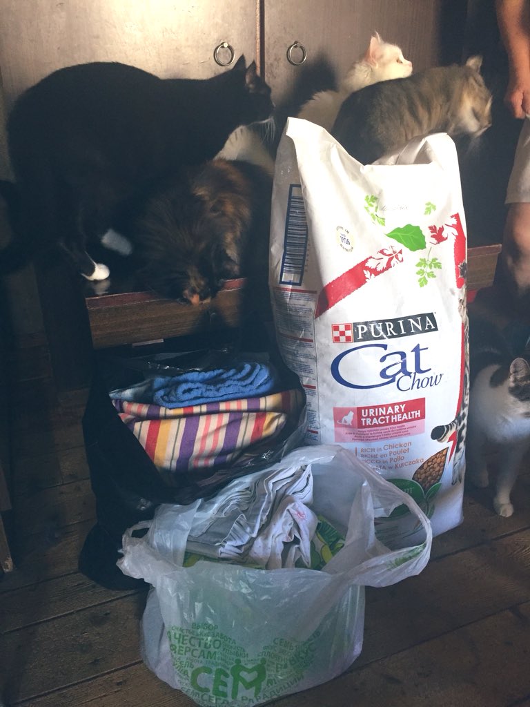 dobroeserdce_k's tweet image. Спасибо большое за возможность порадовать бывше-бездомных котиков ещё одним мешком корма на неделю! 
Котики счастливы! ❤️ А самое главное сыты!!! 🐾

Спасибо тем, кто неравнодушен за помощь и поддержку бабушкиных подопечных! 👏🏻

#помощьбездомнымживотным #друзейневыбирают