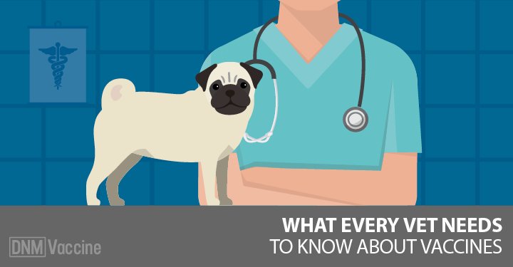 What Every Vet (And Dog Owner) Should Know About Vaccines dogsnaturallymagazine.com/what-every-vet…
