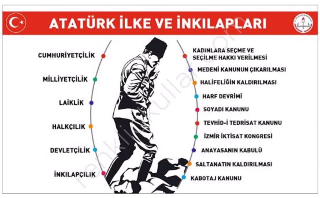 tugceömür tweet media