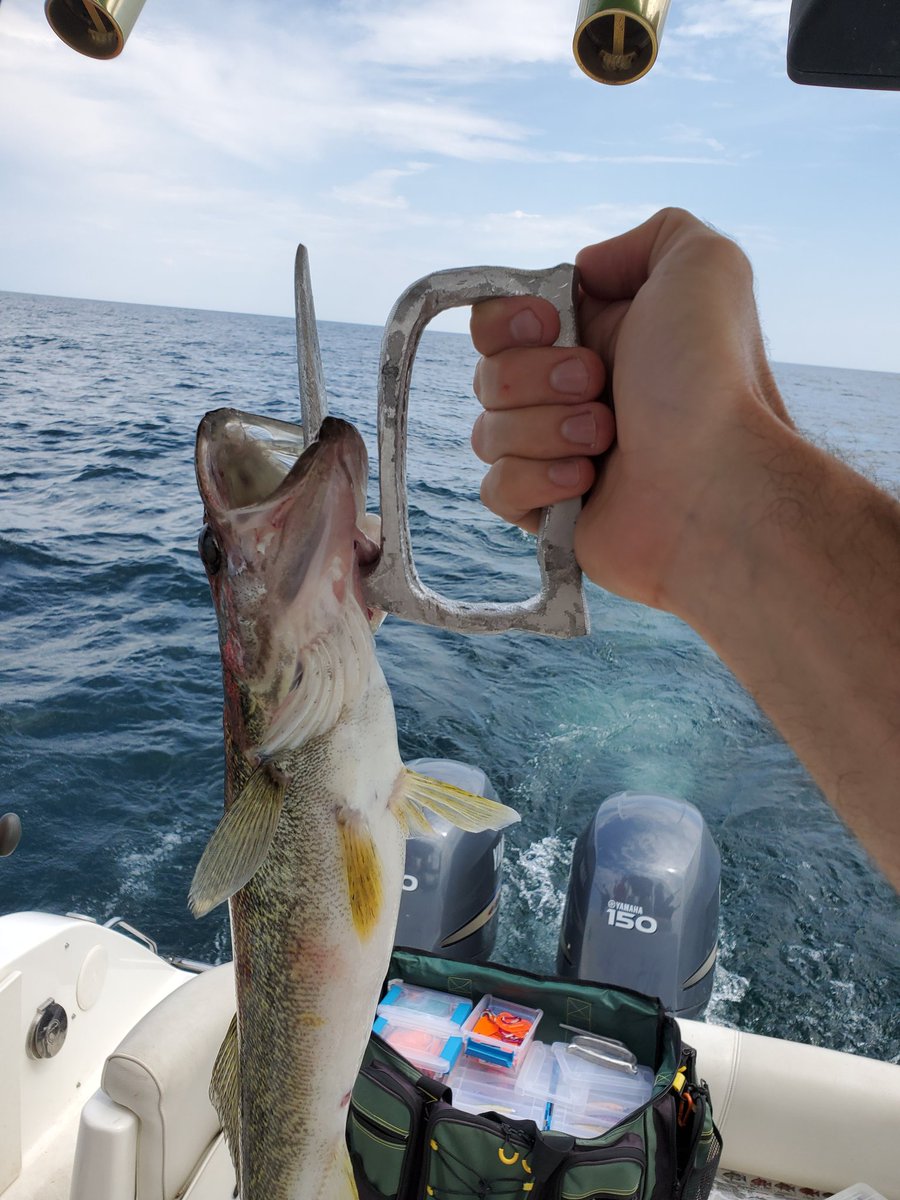 Brandon Prentice tweet media