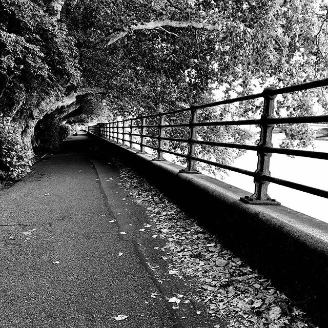 Thames Path #bishopspark #fulham #london #lovelondon #riverthames #SW10 #londoninblackandwhite #monochrome