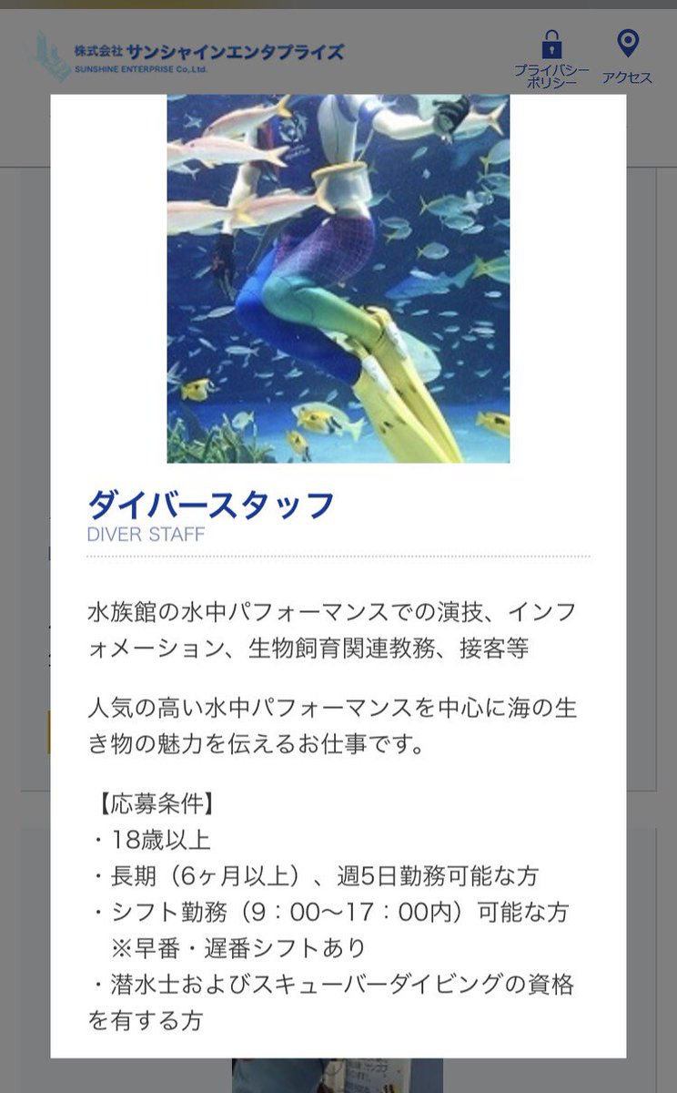 水族館で働きたい Pa Twitter 求人 サンシャイン水族館 ダイバー T Co 5fcllknvui