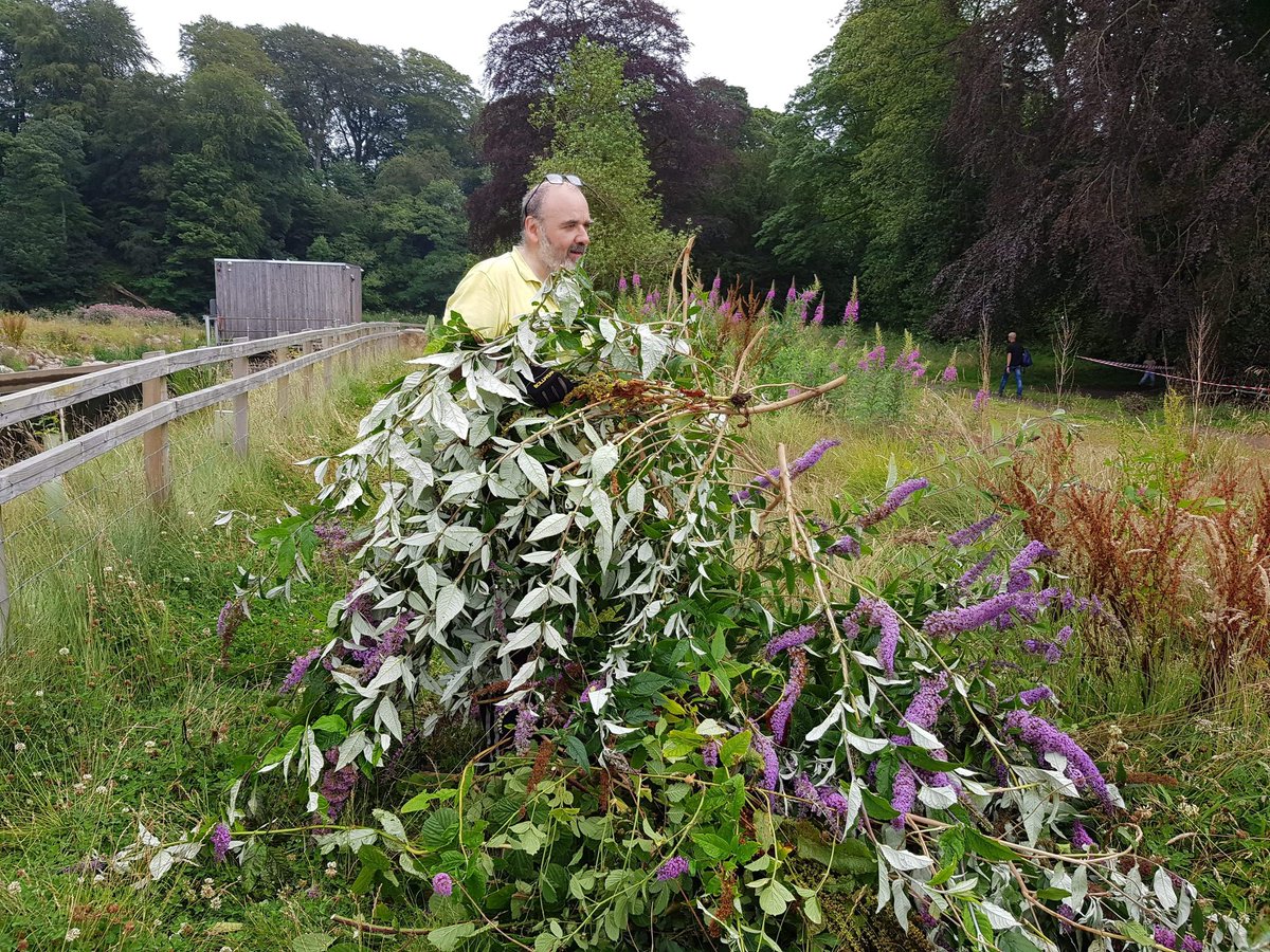 ACEnergy2016's tweet image. A busy day down at the Hydro for our directors and volunteers today.