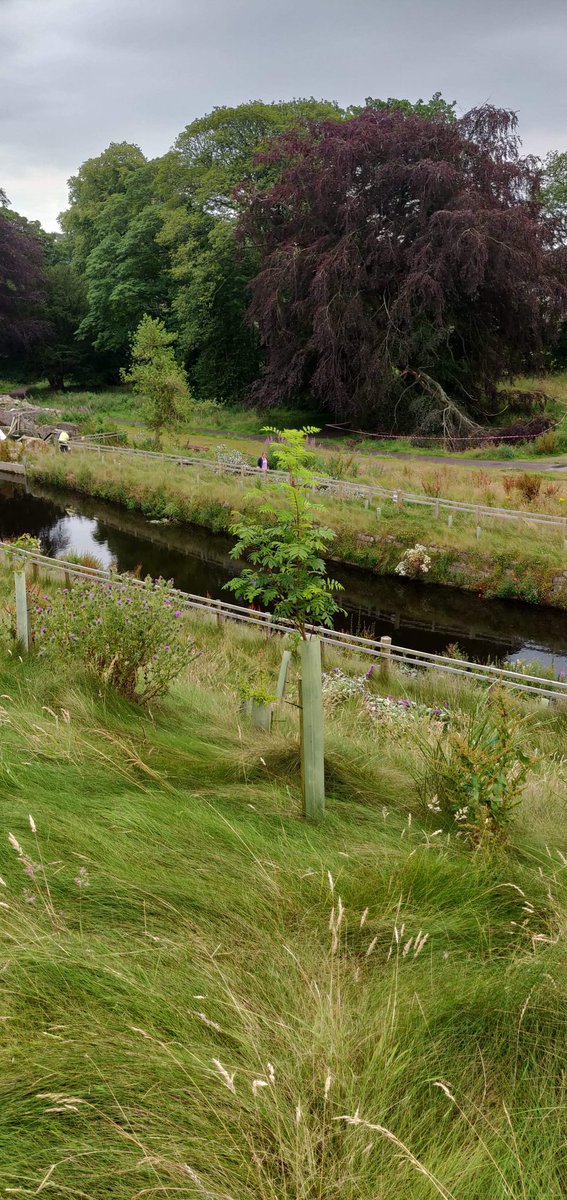 ACEnergy2016's tweet image. A busy day down at the Hydro for our directors and volunteers today.
