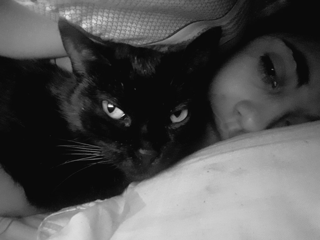 srta_miseria's tweet photo. #mododomingo #blackitty https://t.co/UykH8S5oyE