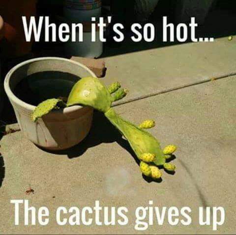 PaulLouiseize's tweet photo. Been  very hot here. https://t.co/zjO29Yt1fY