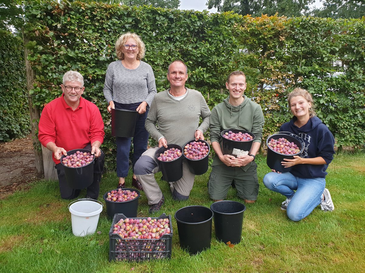 Dankjewel team 'Vergeten Fruit' voor de eerste oogst van onze pruimen. Ze gaan onder andere door naar mensen die het niet zo makkelijk hebben op dit moment.  Supermooi! 🍊🙏 #cittaslow #sociaalondernemen #tegenvoedselverspilling