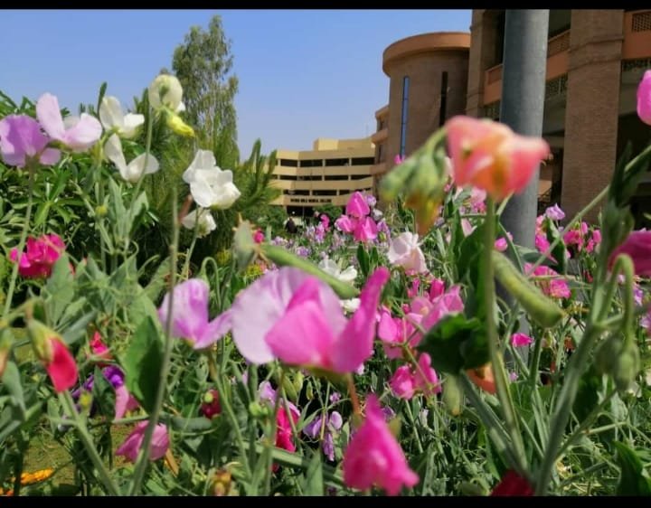 dr_ashi345's tweet photo. I'm unconditionally in love with this place. My second home #KGMC https://t.co/zRLdDox1Bw