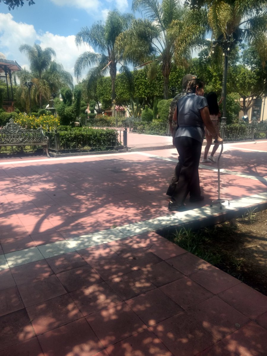 libnisoria's tweet photo. Algún día... Quiero ser como estos viejitos que me encontré en el jardín... Que vienen a comer helado los domingos y se agarran del brazo para caminar 💕 https://t.co/jFhMIcvdU8