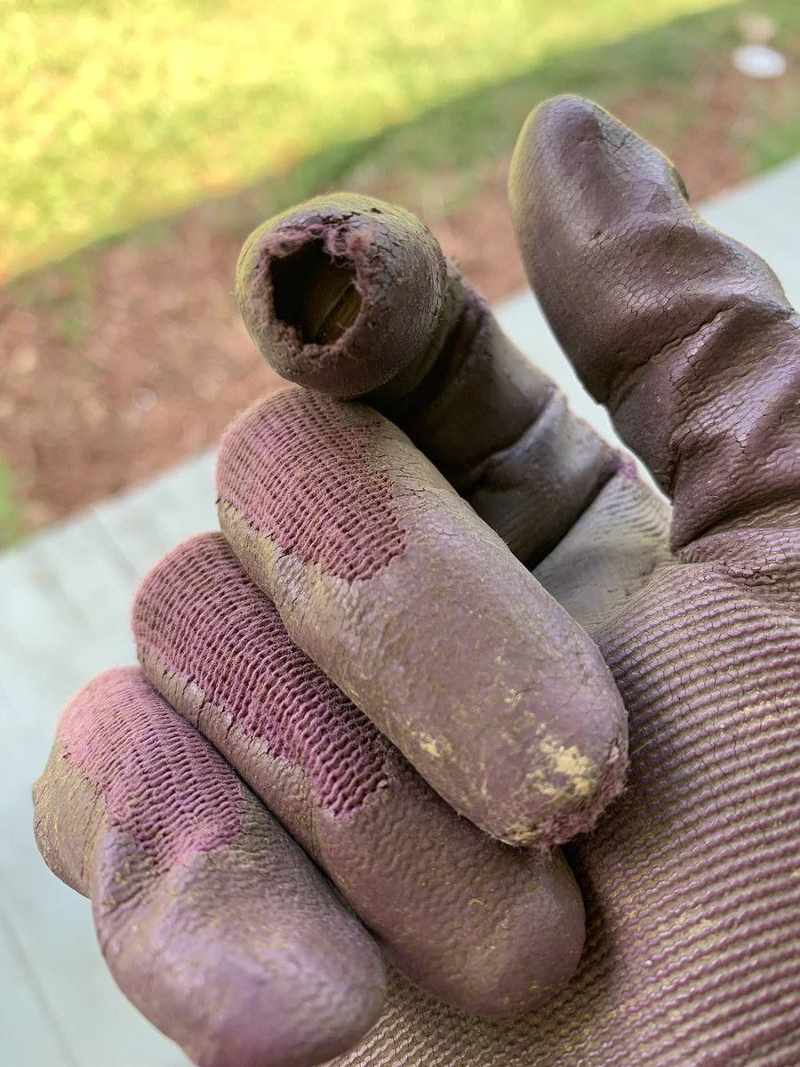 iwetmyplantsnet's tweet image. Every pair of garden gloves I own look like this. I guess it’s a symbol of hard work (or cheap gloves). I prefer the first one, let’s go with that. #holeyglove #smithfarm